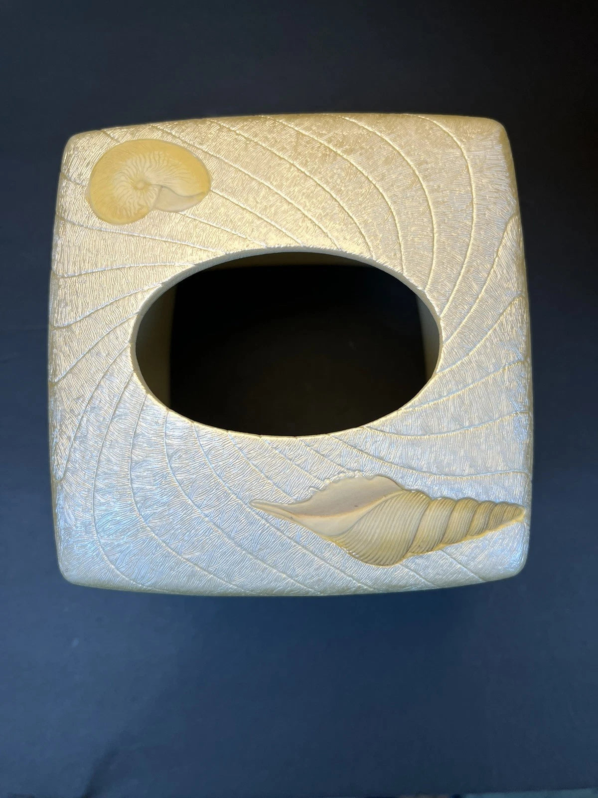 Beach Comber Tissue Box Cover Inlaid Sea Shells Hand Painted Resin Metallic | eBay