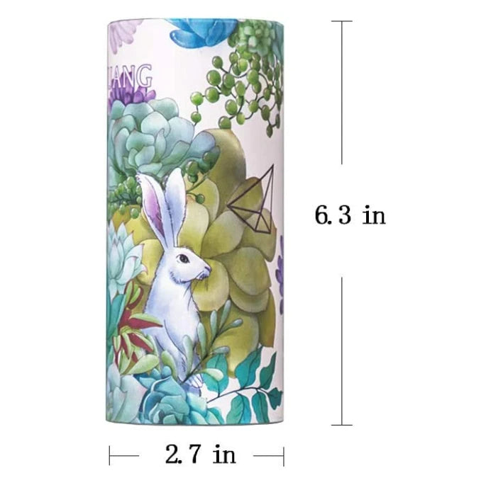 Car Tissue Holder with Facial Tissue Bulk4 PK Tissue Tubes for Car original $15 | eBay