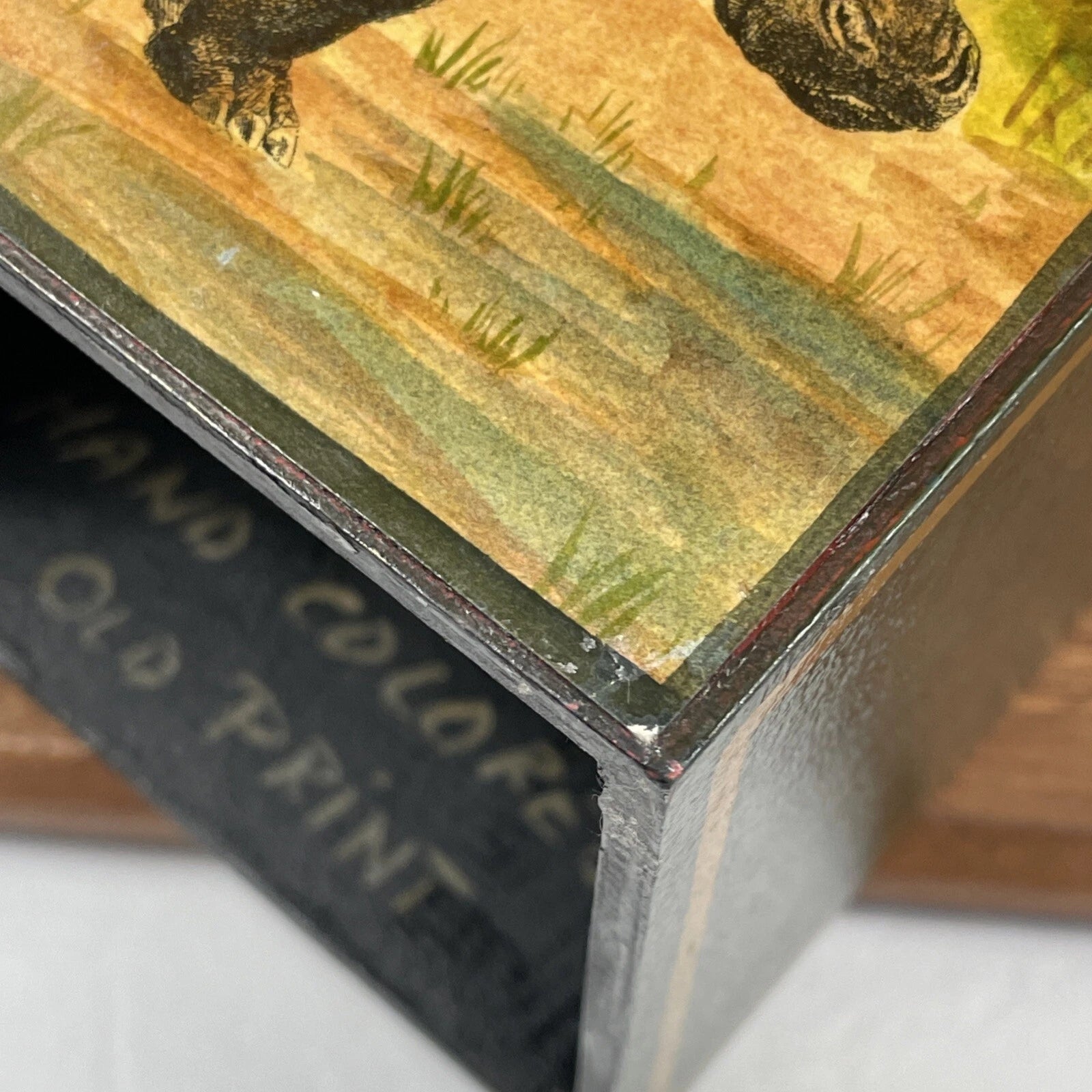 Hippo African Safari Antique Painted Print Animal Wood Green Tissue Box Cover | eBay