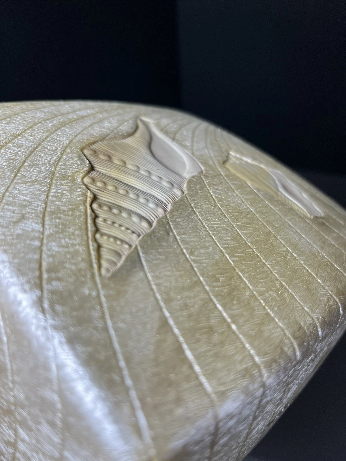 Beach Comber Tissue Box Cover Inlaid Sea Shells Hand Painted Resin Metallic | eBay